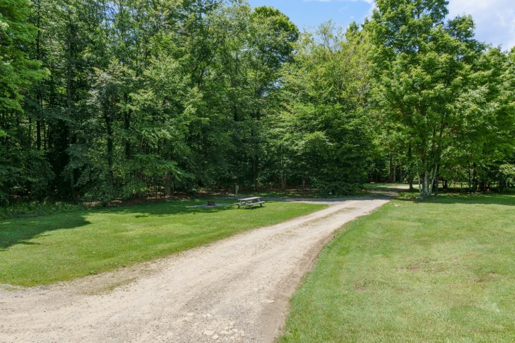 Forest Ridge Cabins and Campgrounds — photo 4